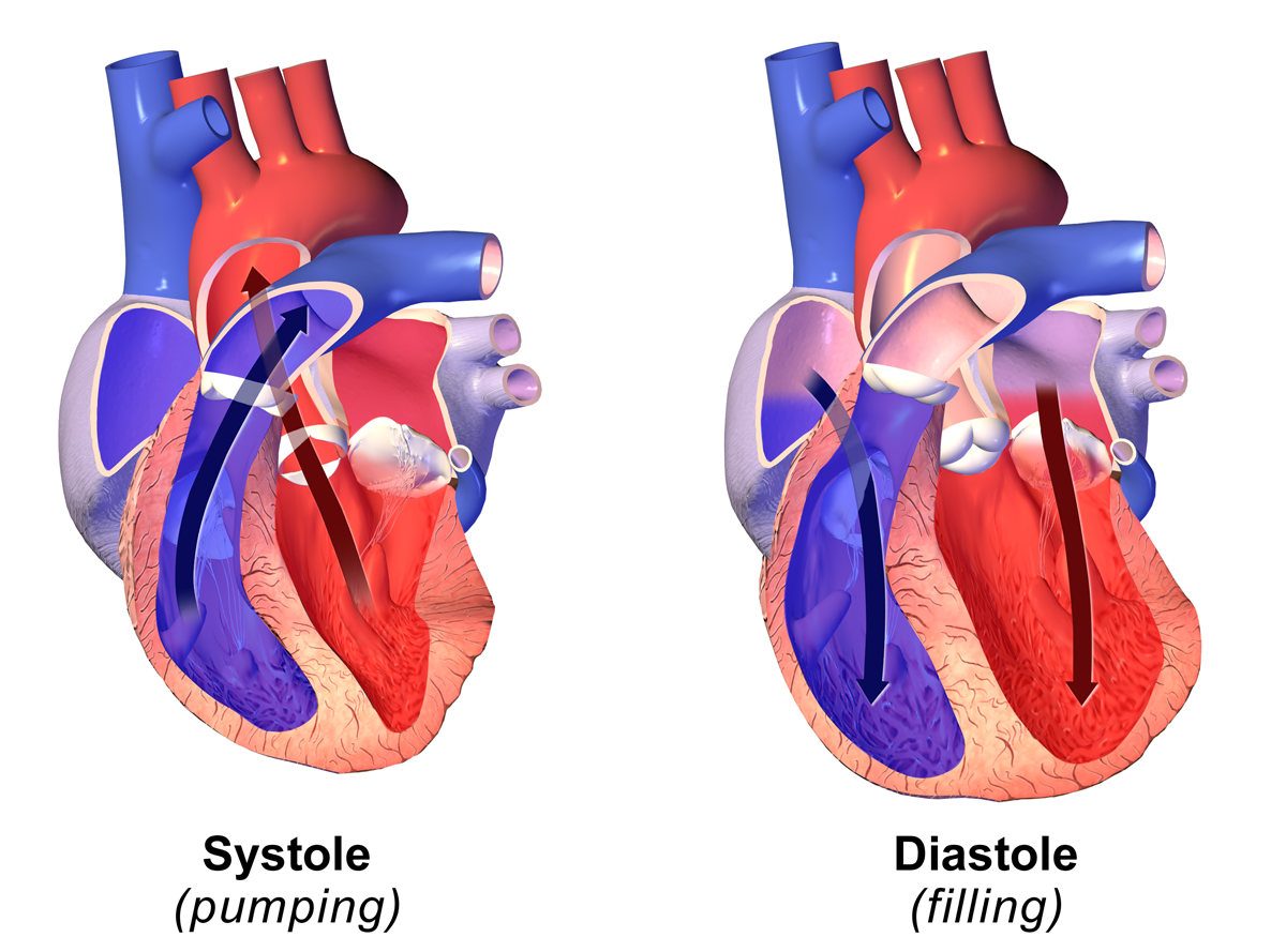 systolic-pressure-high