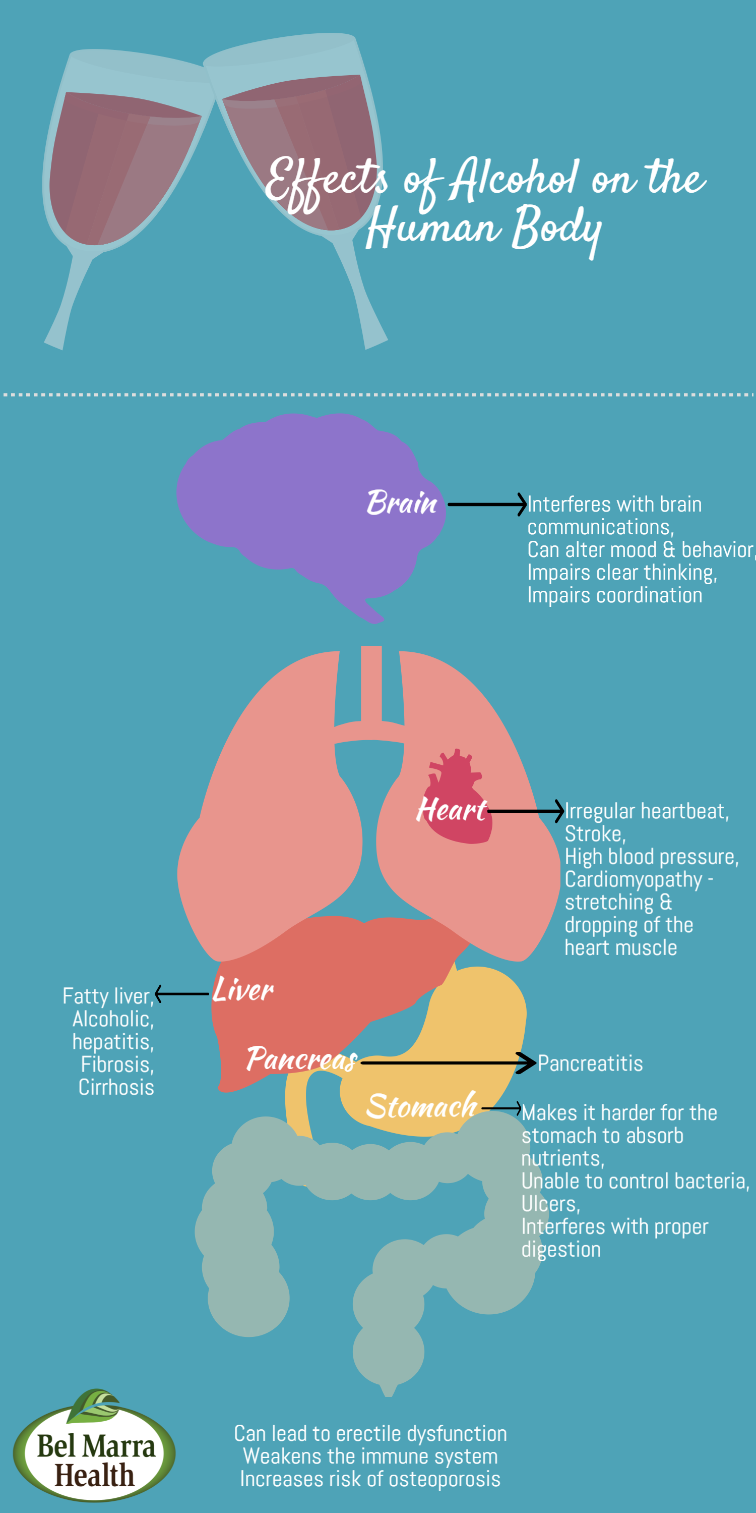 Effects Of Alcohol On The Body s
