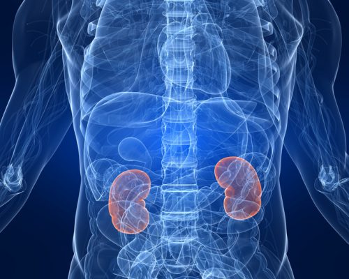 Renal artery stenosis in seniors: Causes, symptoms, and treatment