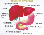 Bile reflux: Causes, symptoms, complications, and prevention tips