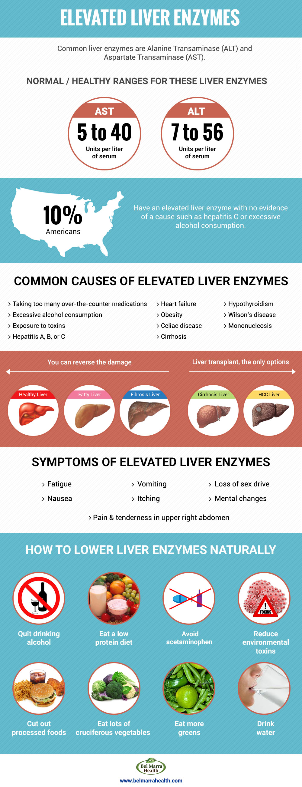 Understanding Elevated Liver Enzymes