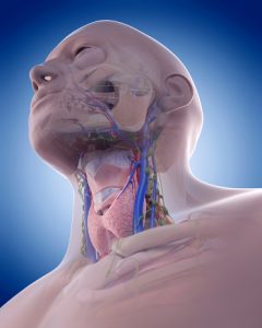 Jugular Vein Distention: Symptoms, Causes, Complications and Treatment
