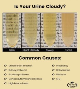 Common Causes of Cloudy Urine & Treatment Tips - Bel Marra Health