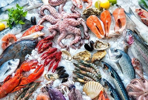 [Image: seafood-libido-500x339.jpg]