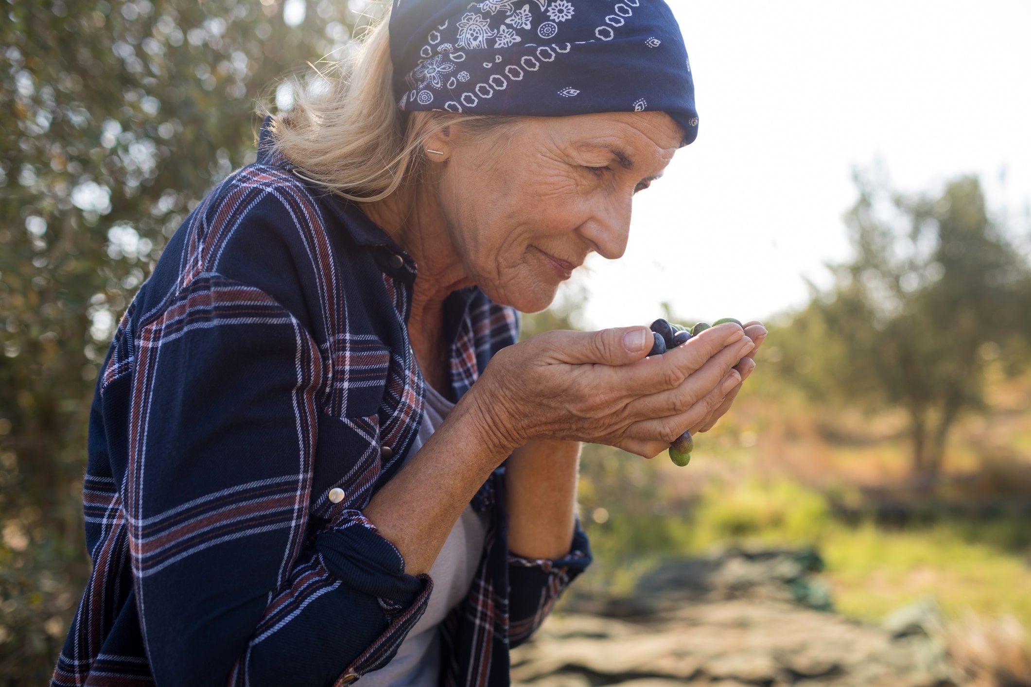 Loss of Smell Disrupts Digestion