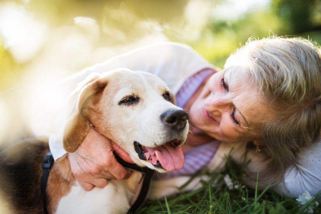 Owning a Dog Leads to Improved Heart Health: Study