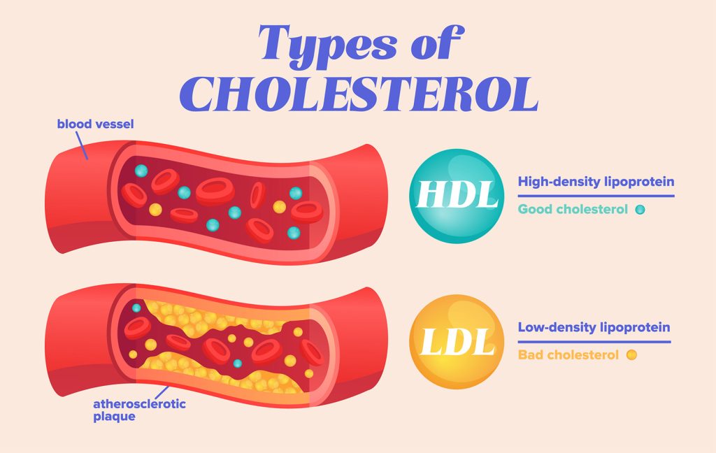 new research on good cholesterol